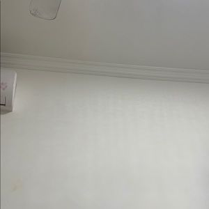 Meet your Posher, Timothy